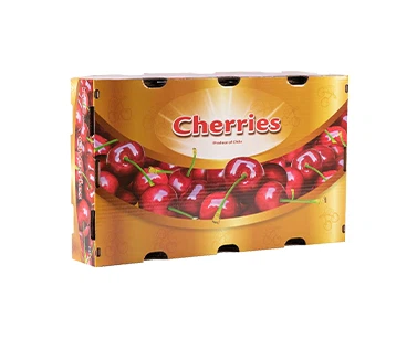 product-377-307 product-377-307