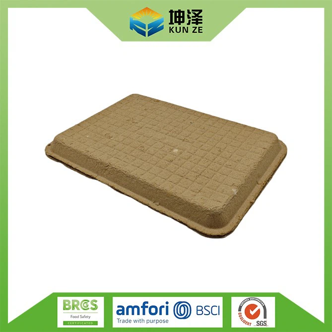 Disposable Food Trays