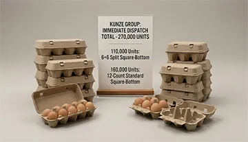 270.000 وحدة في المخزون: إرسال فوري متاح لتغليف البيض الصديق للبيئة-